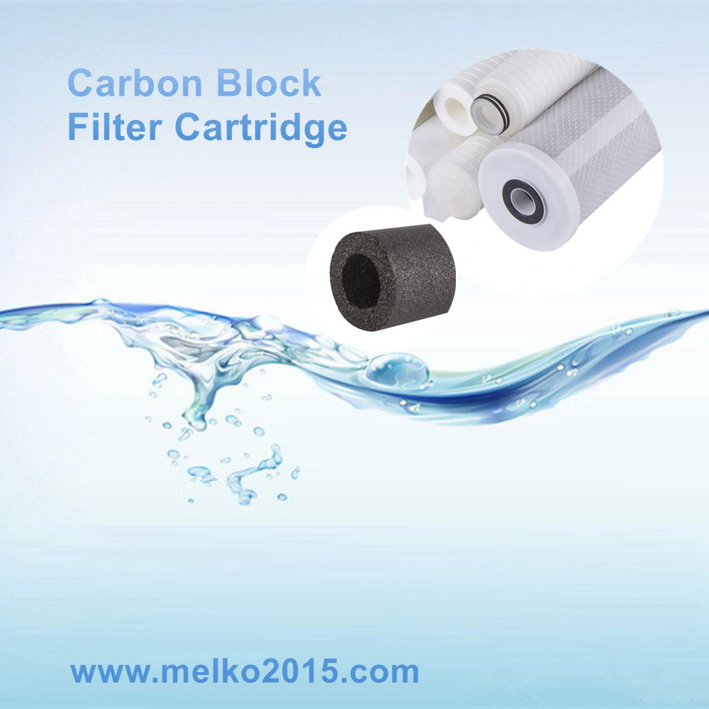 1 Activated 10 Inch Carbon Block Cartridge Filter